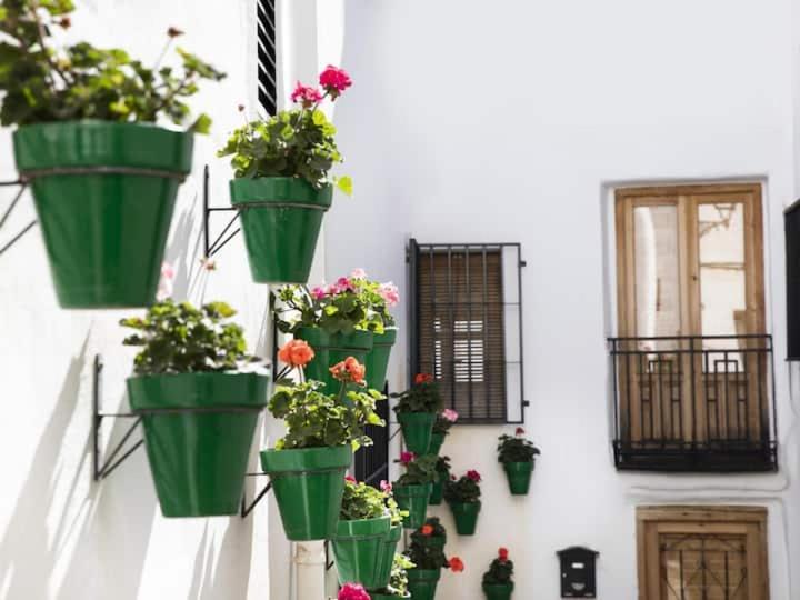 Apartamento En El Corazon De Las Alpujarras Carataunas Εξωτερικό φωτογραφία